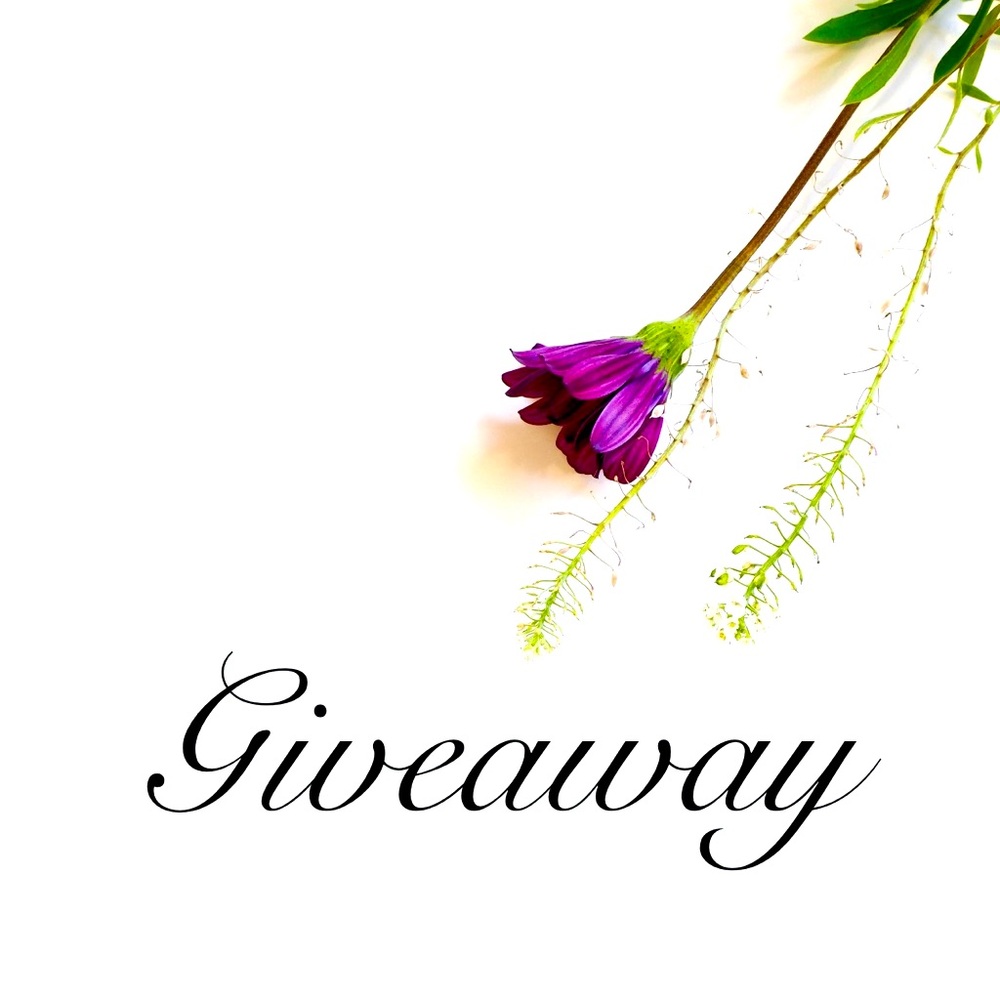 Giveaway - Free Shipping for the winner!